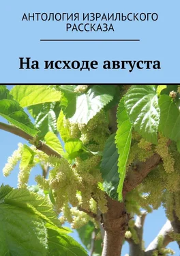 Марк Котлярский На исходе августа обложка книги