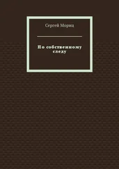 Сергей Мориц - По собственному следу