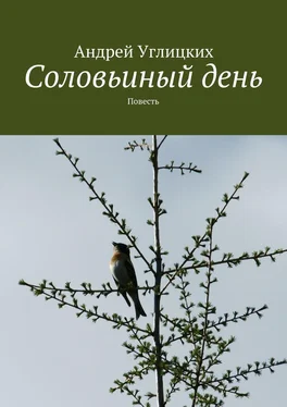 Андрей Углицких Соловьиный день. Повесть обложка книги