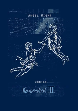 Angel Wight Gemini. Zodiac обложка книги