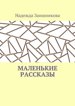 Надежда Заишникова Маленькие рассказы обложка книги