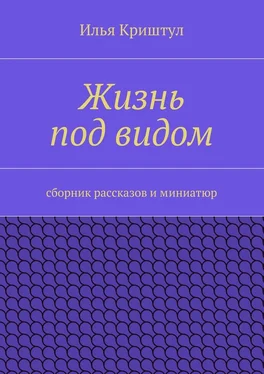 Илья Криштул Жизнь под видом. Сборник рассказов и миниатюр обложка книги