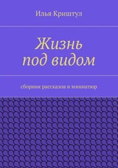 Илья Криштул - Жизнь под видом. Сборник рассказов и миниатюр