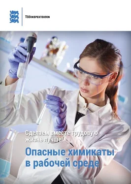 Silja Soon Опасные химикаты в рабочей среде обложка книги