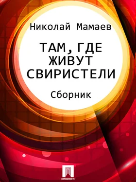 Николай Мамаев Там, где живут свиристели (сборник) обложка книги