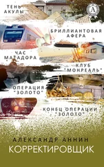 Александр Аннин - Корректировщик