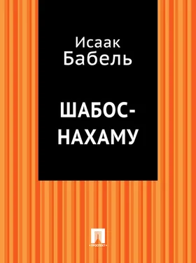 Исаак Бабель Шабос-Нахаму обложка книги