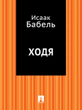 Исаак Бабель Ходя обложка книги