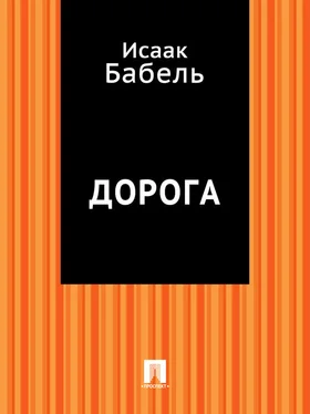 Исаак Бабель Дорога обложка книги