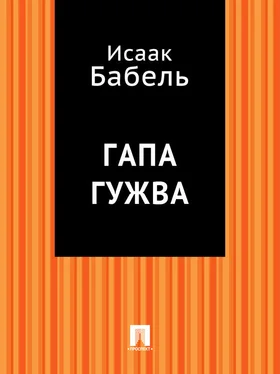 Исаак Бабель Гапа Гужва обложка книги