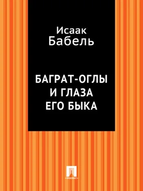 Исаак Бабель Баграт-Оглы и глаза его быка обложка книги