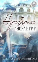 Татьяна Стекольникова - Неразбериха