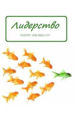 Dmitry Shkarbanov Лидерство обложка книги