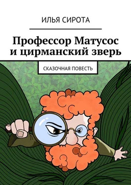 Илья Сирота Профессор Матусос и цирманский зверь. Сказочная повесть обложка книги