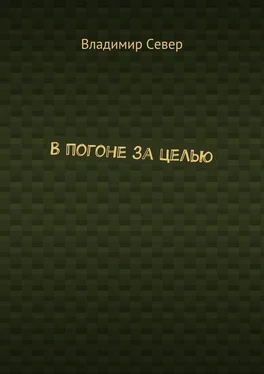 Владимир Север В погоне за целью обложка книги