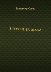 Владимир Север - В погоне за целью