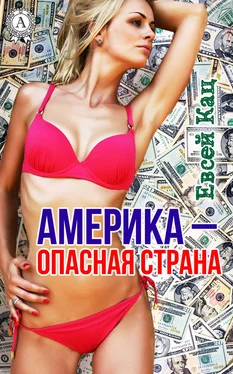 Евсей Кац Америка – опасная страна обложка книги