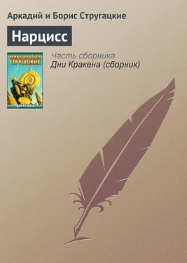 Аркадий и Борис Стругацкие Нарцисс обложка книги