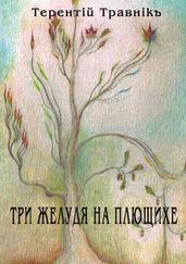 Терентiй Травнiкъ - Три желудя на Плющихе