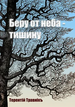 Терентiй Травнiкъ Беру от неба – тишину обложка книги