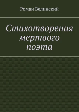 Роман Велинский Стихотворения мертвого поэта обложка книги