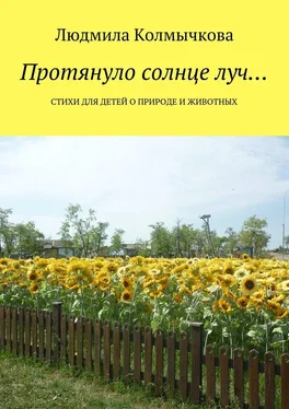 Людмила Колмычкова Протянуло солнце луч… Стихи для детей о природе и животных обложка книги