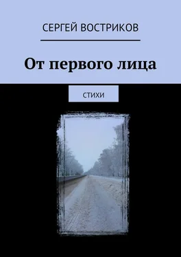 Сергей Востриков От первого лица. Стихи обложка книги