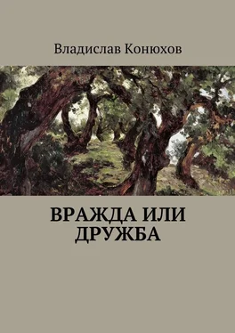 Конюхов Владислав Вражда или дружба. Повесть обложка книги