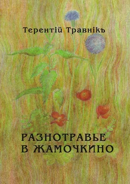 Терентiй Травнiкъ Разнотравье в Жамочкино. Стихи обложка книги