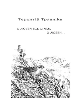 Терентiй Травнiкъ О любви все стихи, о любви… Книга 4. Из цикла «Белокнижье» обложка книги