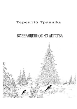 Терентiй Травнiкъ Возвращенное из детства. Книга 5. Из цикла «Белокнижье» обложка книги