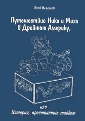 Яков Нерсесов - Путешествие Ника и Миха в Древнюю Америку. или Истории, прочитанные тайком