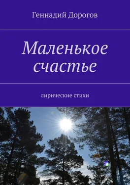 Геннадий Дорогов Маленькое счастье. Лирические стихи обложка книги