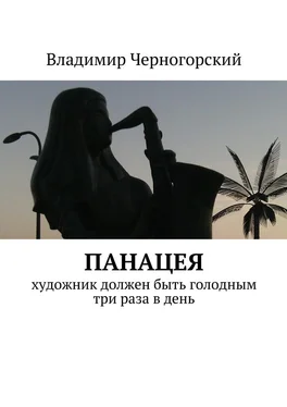 Владимир Черногорский Панацея. Художник должен быть голодным три раза в день обложка книги