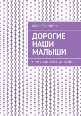 Георгий Скрипкин Дорогие наши малыши. Сборник детских рассказов обложка книги