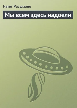 Натиг Расулзаде Мы всем здесь надоели обложка книги