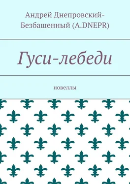 Андрей Днепровский-Безбашенный (A.DNEPR) Гуси-лебеди. Новеллы обложка книги