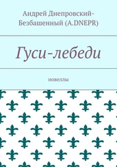 Андрей Днепровский-Безбашенный (A.DNEPR) - Гуси-лебеди. Новеллы