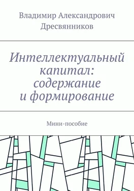 Владимир Дресвянников Интеллектуальный капитал: содержание и формирование. Мини-пособие обложка книги