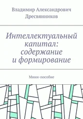 Владимир Дресвянников - Интеллектуальный капитал - содержание и формирование. Мини-пособие