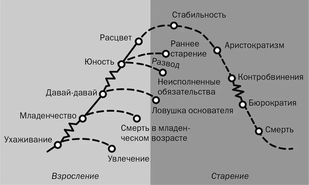 Жизненный цикл организаций компании как и люди проходят определенные стадии - фото 1