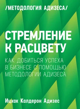 Ицхак Адизес Стремление к расцвету. Как добиться успеха в бизнесе с помощью методологии Адизеса