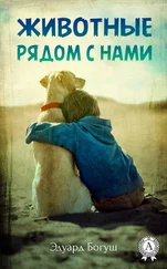 Эдуард Богуш - Животные рядом с нами