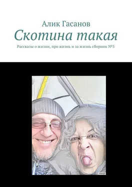 Алик Гасанов Скотина такая. Рассказы о жизни, про жизнь и за жизнь сборник №5 обложка книги