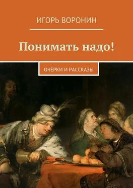 Игорь Воронин Понимать надо! Очерки и рассказы обложка книги