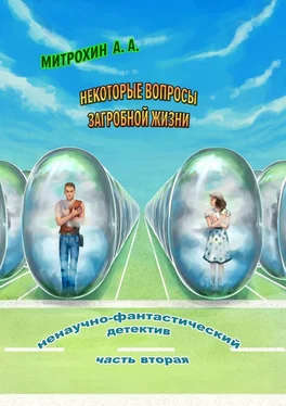 Алексей Митрохин Некоторые вопросы загробной жизни. Часть вторая обложка книги