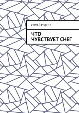 Сергей Редков Что чувствует снег обложка книги