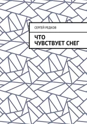 Сергей Редков - Что чувствует снег