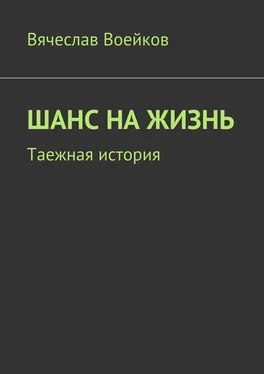 Вячеслав Воейков Шанс на жизнь. Таежная история обложка книги