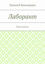 Николай Виноградов - Лаборант. Книга третья